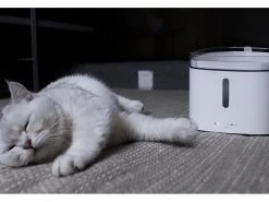 Xiaomi Smart Pet Fountain, Weiss -Katzenwelt Verkaufsgeschäft 246496607 xxl