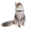 PetTracer GPS-Katzenhalsband Zusatzhalsband -Katzenwelt Verkaufsgeschäft 51440767 xxl 1