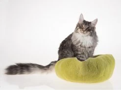 Kivikis Kuschelhöhle Cat Cave birch green 12 Kivikis Kuschelhöhle Cat Cave birch green -Katzenwelt Verkaufsgeschäft 52409029 xxl