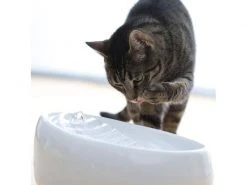 Lucky-Kitty Wasserautomat Keramik, Weiss Weiss -Katzenwelt Verkaufsgeschäft 52423083 xxl 1
