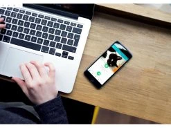 SureFlap Freilauftür Connect & Hub Kit -Katzenwelt Verkaufsgeschäft 52633235 xxl