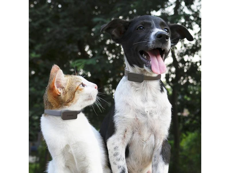Invoxia GPS-Tracker für Katzen und Hunde inkl. Befestigungsclips 5 Invoxia GPS-Tracker für Katzen und Hunde inkl. Befestigungsclips – Bild 3