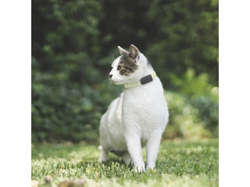 Invoxia GPS-Tracker für Katzen und Hunde inkl. Befestigungsclips 9 Invoxia GPS-Tracker für Katzen und Hunde inkl. Befestigungsclips – Bild 7