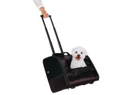 Trixie Tiertransport-Tasche Trolley Elegance -Katzenwelt Verkaufsgeschäft 53406329 xxl 1