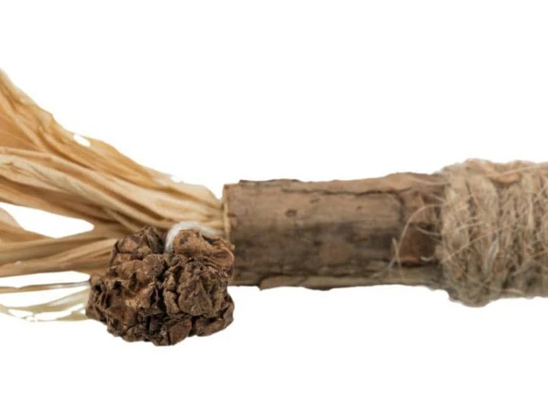 Trixie Matatabi-Stick mit Fransen 4 Trixie Matatabi-Stick mit Fransen – Bild 2