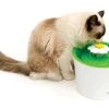 Catit Wasserautomat Senses Flower 3 l -Katzenwelt Verkaufsgeschäft 57623776 xxl