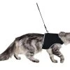 Trixie Softgeschirr Safer Life inkl. Leine -Katzenwelt Verkaufsgeschäft 58857323 xxl