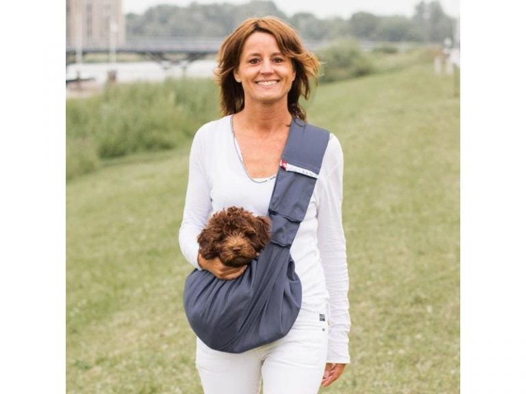 Katzenwelt Verkaufsgeschäft 23 Katzenwelt Verkaufsgeschäft -Katzenwelt Verkaufsgeschäft 224562855 xxl 768x576 1